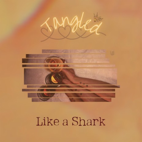 Like a Shark | Boomplay Music