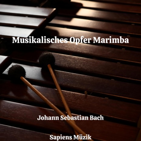 Musikalisches Opfer, Ricercare a 6 Marimba Edition | Boomplay Music