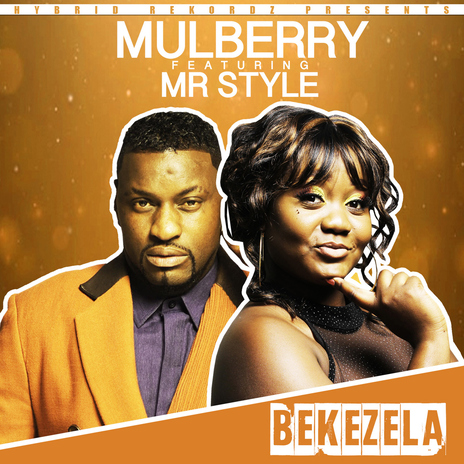 Bekezela (feat. Mr Style) | Boomplay Music