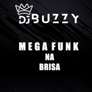 Mega Funk Na Brisa