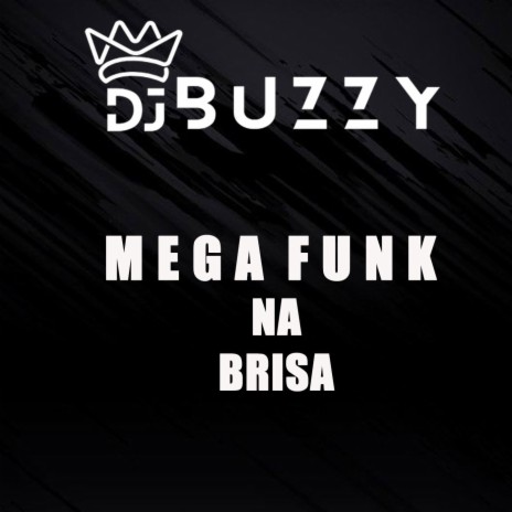 Mega Funk Na Brisa | Boomplay Music