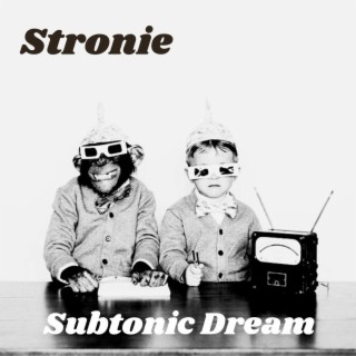 Subtonic Dream lyrics | Boomplay Music