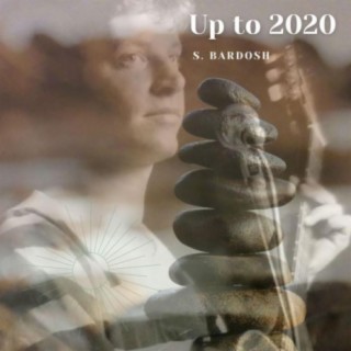 Up to 2020