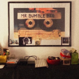 Mr Bumble Bee