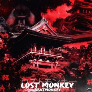 Lost Monkey