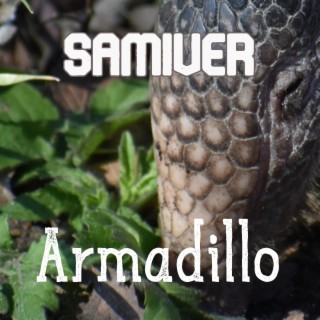 Armadillo