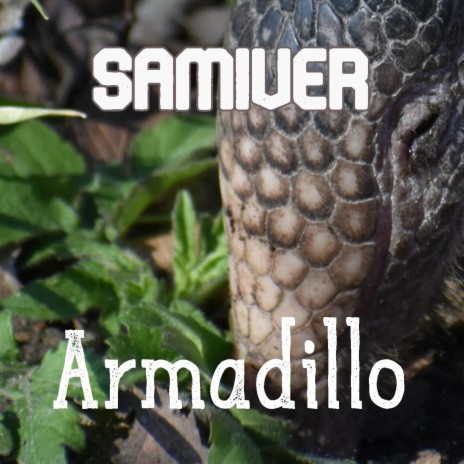 Armadillo | Boomplay Music