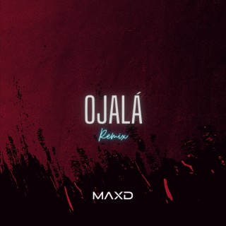 Ojalá (Remix)