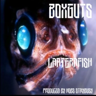 Lanternfish