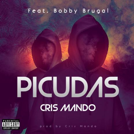 Picudas ft. Bobby Brugal | Boomplay Music