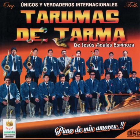 Huancainita Preciosa (tunantada) | Boomplay Music