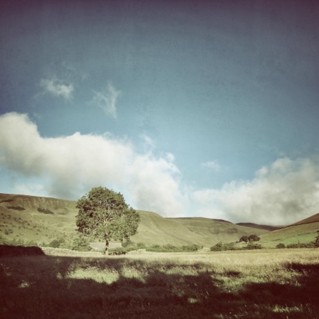 Edale | Boomplay Music