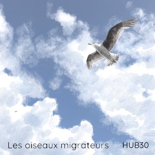 Les oiseaux migrateurs