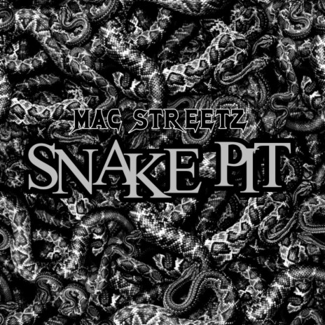 Snake Pit | Boomplay Music