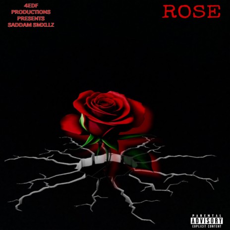 ROSE | Boomplay Music
