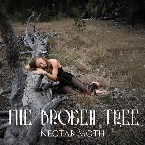 The Broken Tree | Boomplay Music