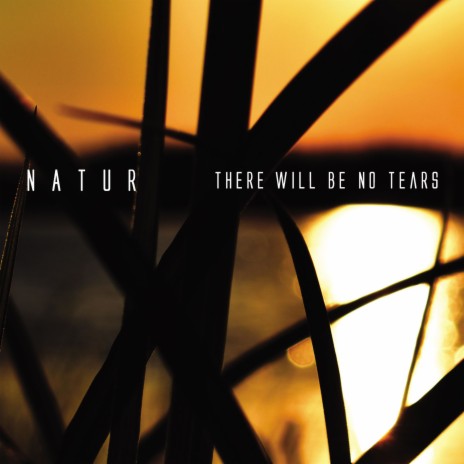 There Will Be no Tears | Boomplay Music