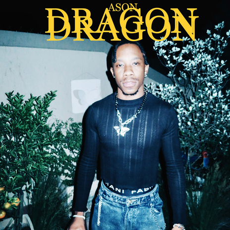 DRAGON (feat. LEO DA LEO) | Boomplay Music