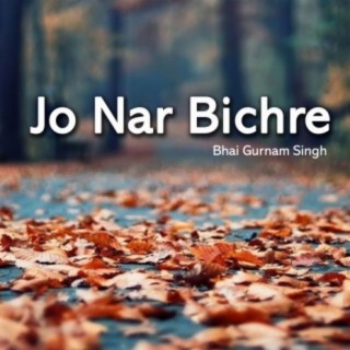 Jo Nar Bichre