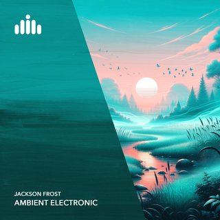 Ambient Electronic