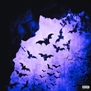 BATS IN THE CAVE