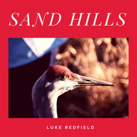 Sand Hills | Boomplay Music