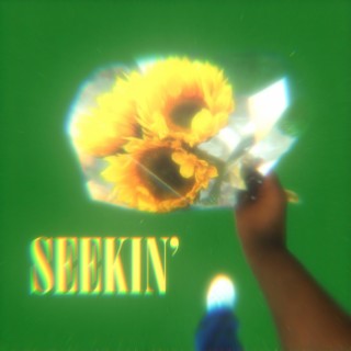 SEEKIN' lyrics | Boomplay Music