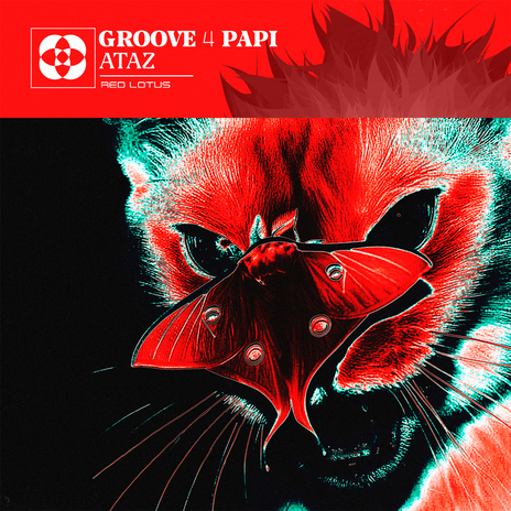 Groove 4 Papi | Boomplay Music