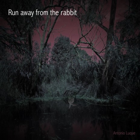 The Rabbit (First part)