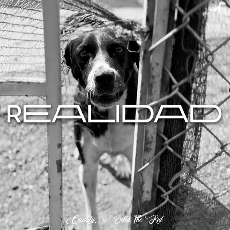 Realidad | Boomplay Music