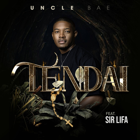 Tendai (feat. Sir Lifa) | Boomplay Music