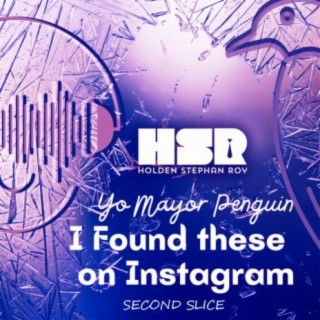 Yo Mayor Penguin I Found These On Instagram Second Slice