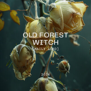 Old Forest Witch