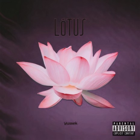 Lótus | Boomplay Music