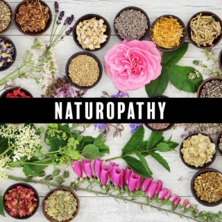 Naturopathy: Beautiful Piano Music with the Sound of Nature for Relaxation and Mindfulness, Sleep, Study