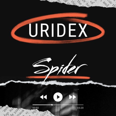 Spider | Boomplay Music