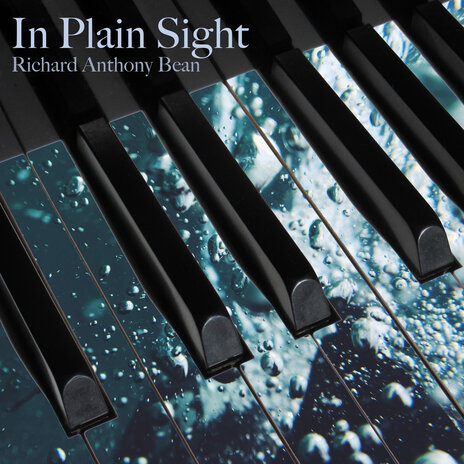 In Plain Sight | Boomplay Music