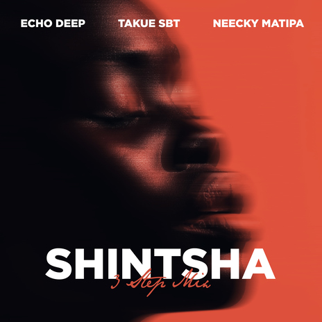 Shintsha (feat. Neecky Matipa) | Boomplay Music