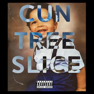 Cun Tree Slice