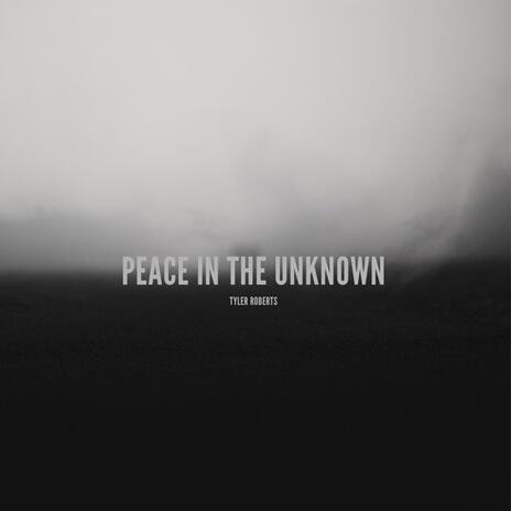 Peace In The Unknown | Boomplay Music