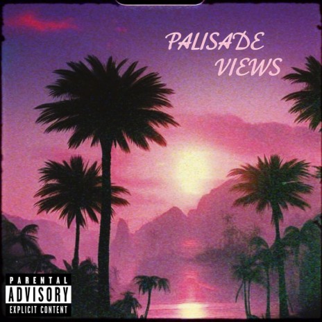 Palisade Views ft. COSMIC | Boomplay Music