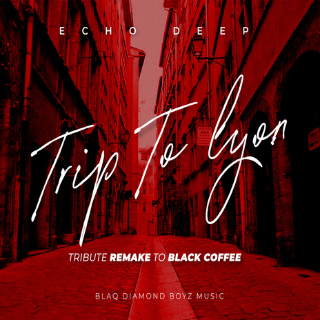 TRIP TO LYON (Tribute Remake To Black Coffee) | Boomplay Music