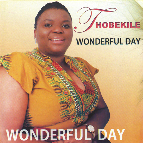 Wonderful Day | Boomplay Music