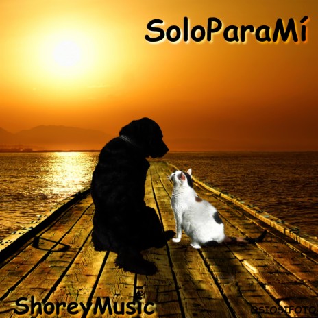 Solo Para Mí | Boomplay Music