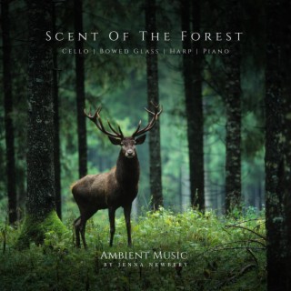 Scent of the Forest