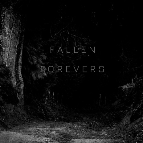 Fallen Forevers | Boomplay Music