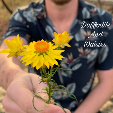 Daffodils And Daisies | Boomplay Music