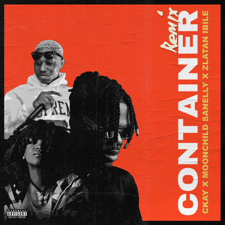 Container (feat. Moonchild Sanelly and Zlatan Ibile) [Remix] | Boomplay Music