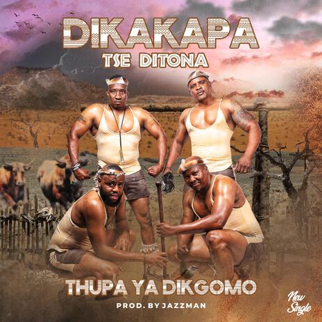 Thupa ya dikgomo | Boomplay Music