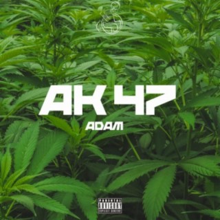 AK47 lyrics | Boomplay Music